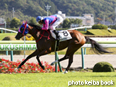 カラーパネル2014年10月19日福島7R 3歳上500万下(メイショウアズミノ)