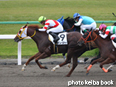 カラーパネル2014年11月2日京都12R 3歳上500万下(ガンジー)