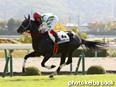 カラーパネル2014年11月2日福島4R 障害未勝利(マキオボーラー)