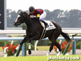 カラープリント(アルミ枠付き)2014年11月8日京都5R 2歳新馬(エイシンカラット)