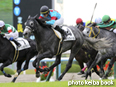 カラープリント(アルミ枠なし)2014年11月8日京都7R 3歳上500万下(パドルウィール)