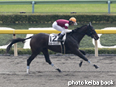 カラープリント(アルミ枠なし)2014年11月9日東京4R 2歳新馬(スモーダリング)