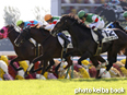 カラープリント(アルミ枠付き)2014年11月15日京都2R 2歳未勝利(クリプトグラム)