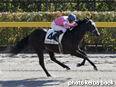 カラープリント(アルミ枠なし)2014年11月15日東京5R 2歳新馬(アジアンテースト)