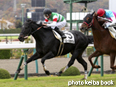 カラープリント(アルミ枠付き)2014年11月15日福島7R 3歳上500万下(ローズミラクル)