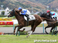 カラープリント(アルミ枠付き)2014年11月15日福島8R 3歳上500万下(ブリュネット)