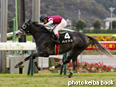 カラープリント(アルミ枠付き)2014年11月16日福島12R 相馬特別(ハッシュ)