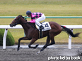 カラープリント(アルミ枠付き)2014年11月29日京都6R 2歳新馬(スマートカルロス)
