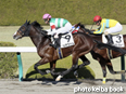 カラープリント(アルミ枠付き)2014年12月13日阪神6R 2歳新馬(リアファル)