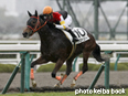 カラープリント(アルミ枠なし)2014年12月20日阪神5R 2歳新馬(クローソー)
