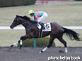 カラープリント(アルミ枠なし)2014年12月20日阪神6R 2歳新馬(アンクルダイチ)