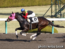 カラープリント(アルミ枠付き)2014年12月21日阪神2R 2歳未勝利(アポロケンタッキー)