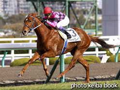 カラーパネル2014年12月21日阪神6R 2歳500万下(スマートグレイス)