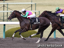 カラープリント(アルミ枠付き)2014年12月21日阪神10R ベテルギウスステークス(マルカプレジオ)