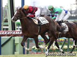 カラープリント(アルミ枠なし)2014年12月21日中山4R 2歳未勝利(デバイスドライバー)