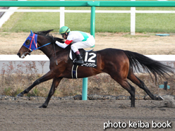 カラーパネル2014年12月21日中山10R 仲冬ステークス(ゴーイングパワー)