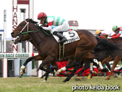 カラーパネル2014年12月28日阪神3R 2歳未勝利(アクセラレート)