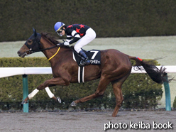 カラープリント(アルミ枠なし)2014年12月28日阪神12R ファイナルステークス(コーリンベリー)