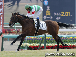 カラープリント(アルミ枠なし)2014年12月28日中山3R 2歳未勝利(ストレンジクォーク)