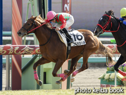 カラーパネル2014年12月28日中山4R 2歳新馬(コスモヨハネ)