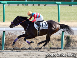 カラープリント(アルミ枠付き)2014年12月28日中山5R 3歳上500万下(タマモマズルカ)