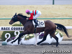 カラープリント(アルミ枠付き)2015年1月4日京都4R 4歳上500万下(タマモネイヴィー)