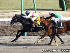 カラーパネル2015年1月4日中山9R 初日の出賞(ベルゲンクライ)