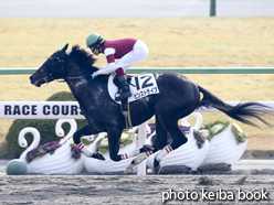 カラープリント(アルミ枠付き)2015年1月5日京都3R 3歳未勝利(ピンストライプ)