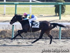 カラーパネル2015年1月5日中山2R 3歳未勝利(エグランティーナ)