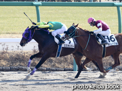 カラープリント(アルミ枠なし)2015年1月5日中山3R 3歳未勝利(スズカリバー)