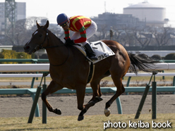 カラーパネル2015年1月5日中山5R 3歳新馬(アルビアーノ)