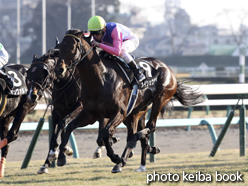 カラープリント(アルミ枠付き)2015年1月5日中山10R サンライズステークス(メイショウツガル)