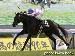 カラーパネル2015年1月10日京都11R 寿ステークス(マテンロウボス)