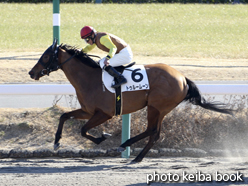 カラープリント(アルミ枠なし)2015年1月10日中山1R 3歳未勝利(トゥルームーン)