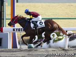 カラーパネル2015年1月11日京都8R 4歳上500万下(エイシンラナウェー)