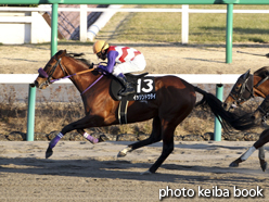 カラープリント(アルミ枠付き)2015年1月11日中山11R ポルックスステークス(イッシンドウタイ)