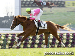 カラープリント(アルミ枠付き)2015年1月12日京都5R 3歳未勝利(ショウボート)