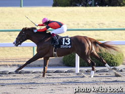 カラープリント(アルミ枠付き)2015年1月12日京都10R 舞鶴特別(エクストラゴールド)