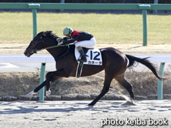 カラープリント(アルミ枠付き)2015年1月12日中山1R 3歳未勝利(カネータ)