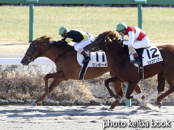 カラープリント(アルミ枠なし)2015年1月12日中山3R 3歳未勝利(ワンボーイ)