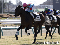 カラープリント(アルミ枠付き)2015年1月12日中山5R 3歳未勝利(グランシルク)