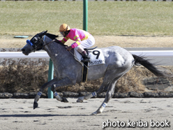 カラープリント(アルミ枠なし)2015年1月12日中山6R 4歳上500万下(アカノジュウハチ)