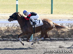 カラープリント(アルミ枠なし)2015年1月17日中山2R 3歳未勝利(タマノブリュネット)