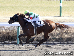 カラープリント(アルミ枠なし)2015年1月17日中山4R 3歳新馬(リーガルプレゼンス)