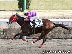 カラープリント(アルミ枠付き)2015年1月17日中山6R 3歳新馬(サンマルスカイ)