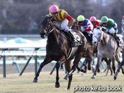 カラープリント(アルミ枠付き)2015年1月17日中山9R 菜の花賞(クイーンズリング)