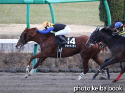 カラープリント(アルミ枠なし)2015年1月17日中山10R 初春ステークス(マキャヴィティ)