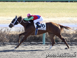 カラープリント(アルミ枠付き)2015年1月18日中山1R 3歳未勝利(ジュエルアラモード)