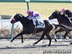 カラーパネル2015年1月18日中山3R 3歳未勝利(タケルラグーン)