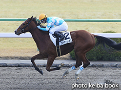 カラープリント(アルミ枠なし)2015年1月24日京都3R 3歳未勝利(フロイデシューネル)